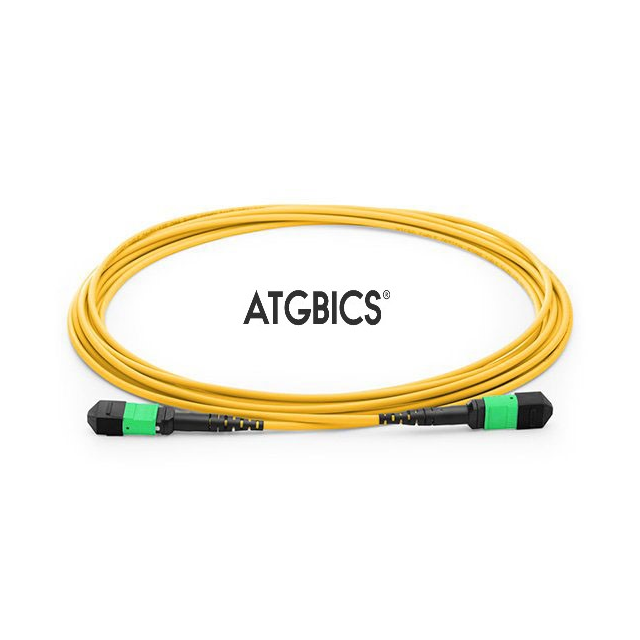 TCAB-24MPOFF-OS2-2M — Кабельные оптические