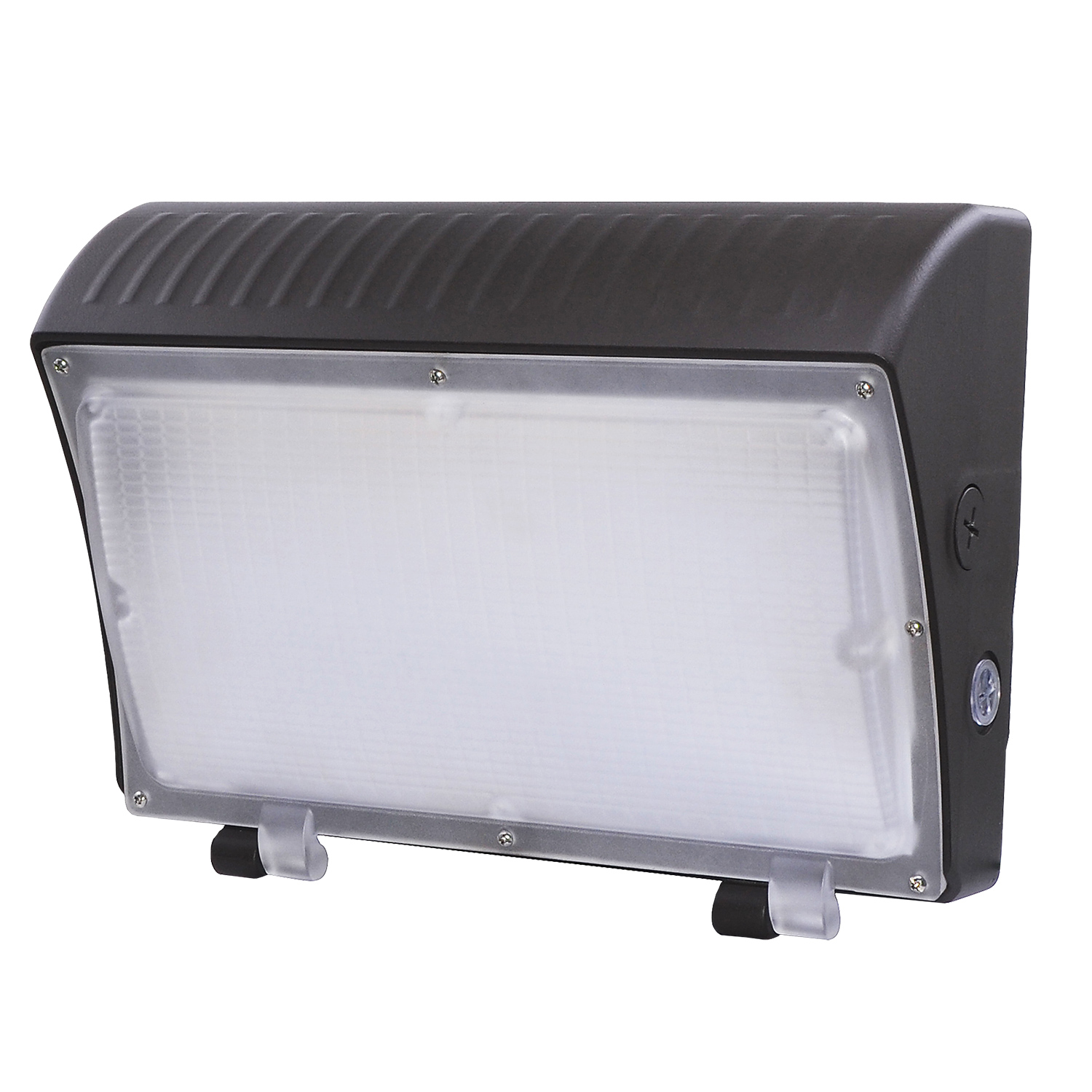 ESL-WP-70100W-63050-BZ — Светильники