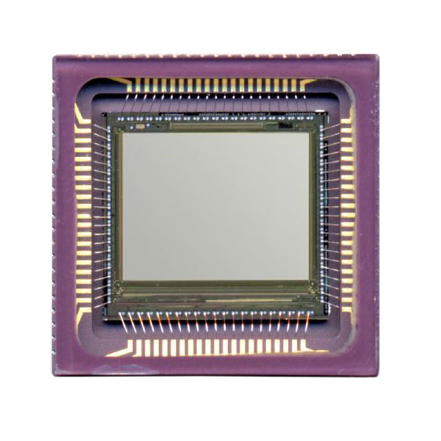 CYII5SM1300AB-QWC — Сенсоры изображений, камеры